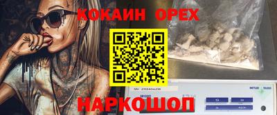 дмт Сланцы