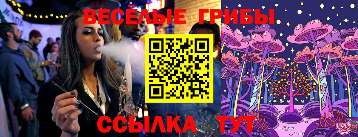 Тайшет  продажа наркотиков  Вход с VPN  Галлюциногенные грибы MAGIC MUSHROOMS 