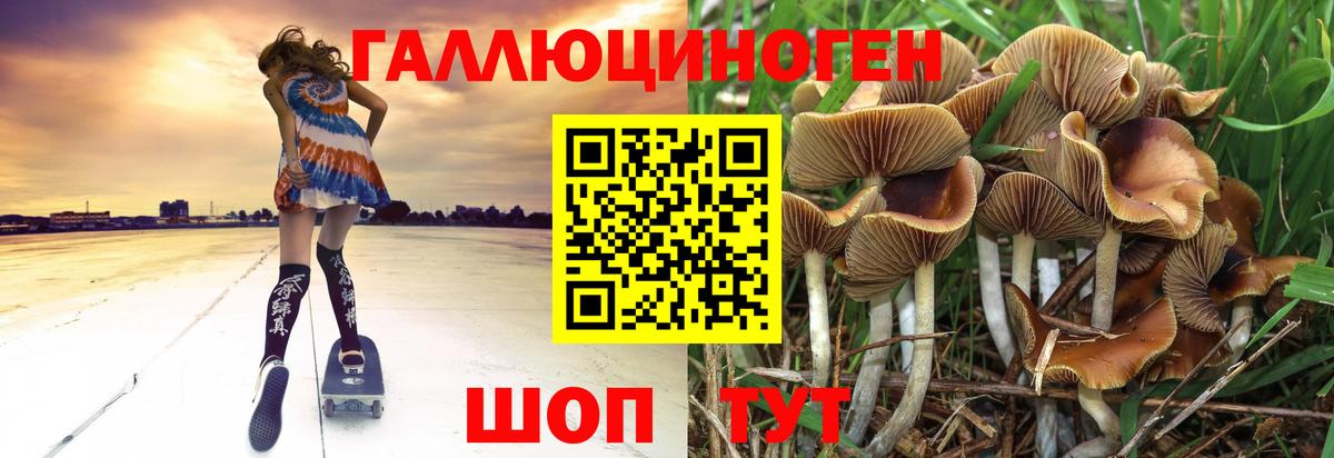 Галлюциногенные грибы Psilocybine cubensis Тайшет